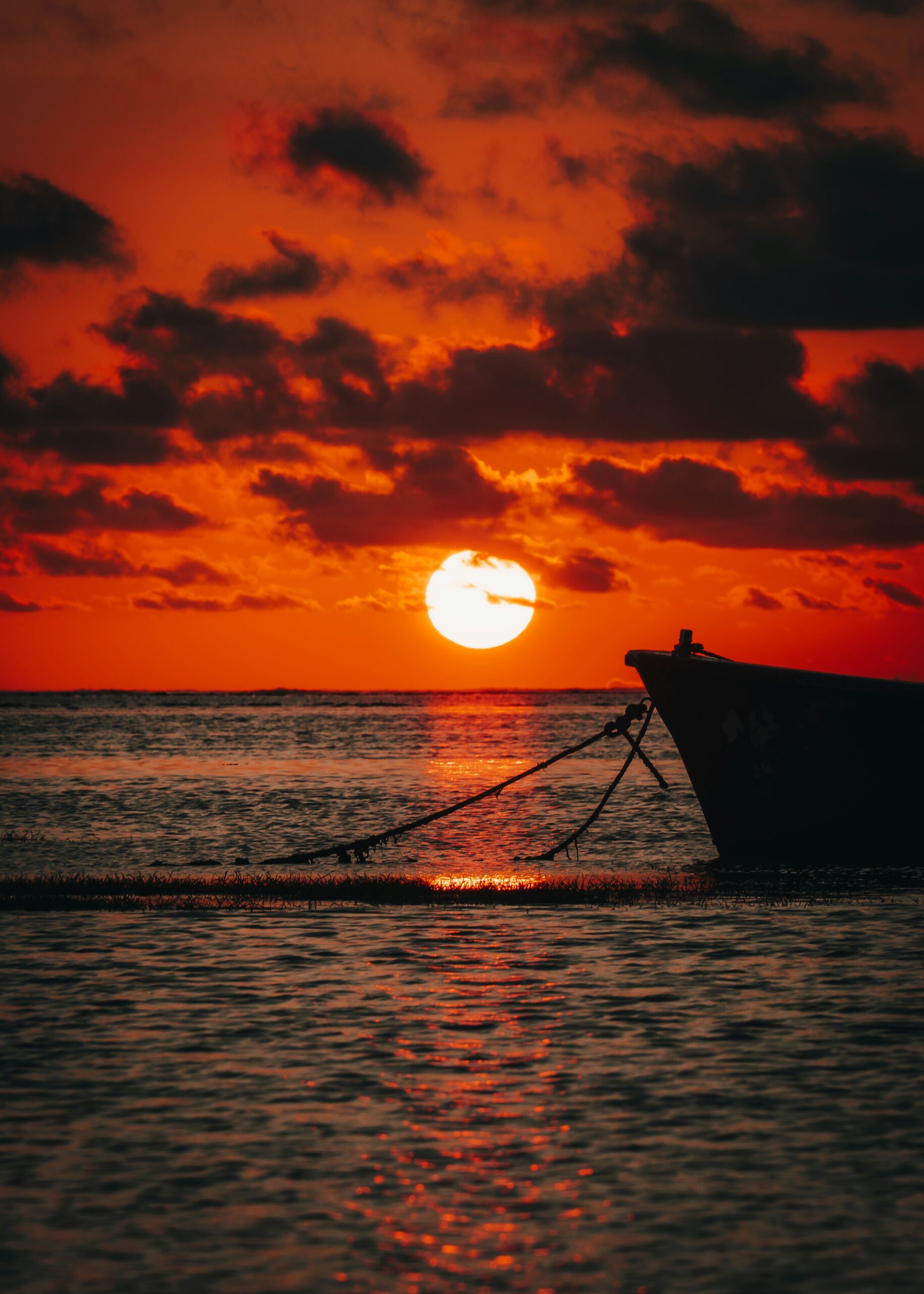 xavier-coiffic-mdfZSBSKIGs-unsplash