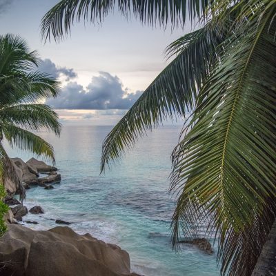 deeezy-seychelles-4916045_1920
